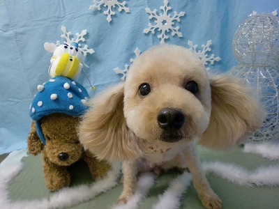 ファイル 6454-2.jpg