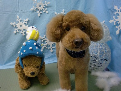 ファイル 6455-1.jpg