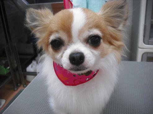 ファイル 646-1.jpg