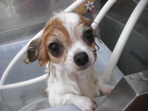 ファイル 646-2.jpg