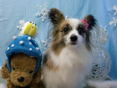 ファイル 6461-1.jpg