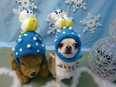 ファイル 6462-1.jpg