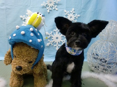 ファイル 6463-1.jpg