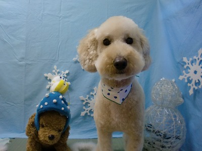 ファイル 6464-1.jpg