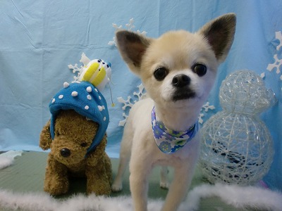 ファイル 6466-1.jpg