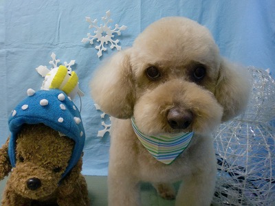 ファイル 6469-2.jpg