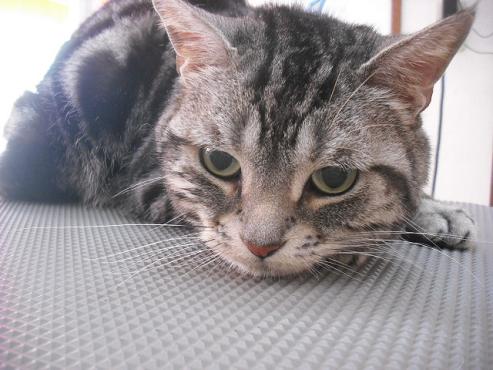 ファイル 647-1.jpg