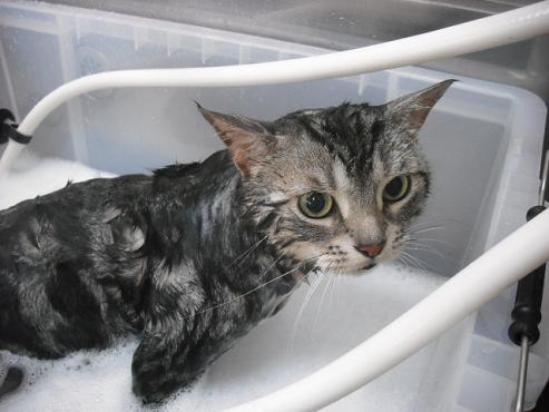 ファイル 647-2.jpg