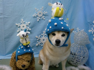 ファイル 6470-1.jpg