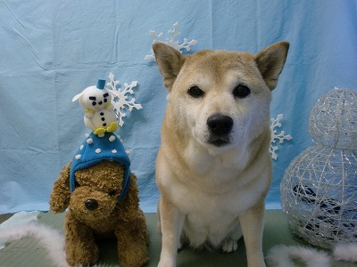 ファイル 6470-2.jpg