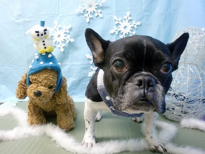 ファイル 6471-2.jpg