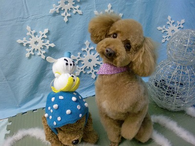 ファイル 6472-1.jpg