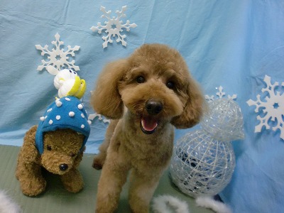 ファイル 6473-1.jpg