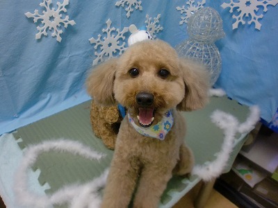 ファイル 6474-2.jpg