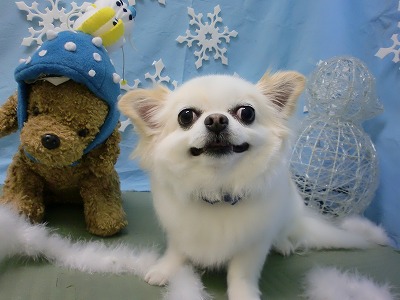 ファイル 6476-1.jpg