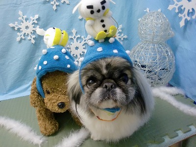 ファイル 6477-1.jpg