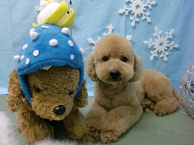 ファイル 6478-1.jpg