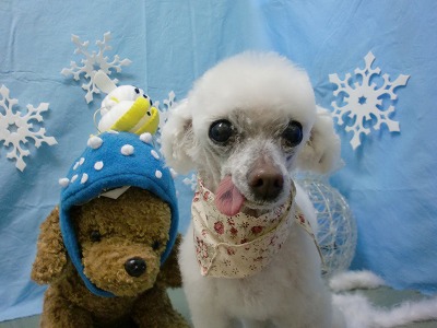 ファイル 6479-1.jpg