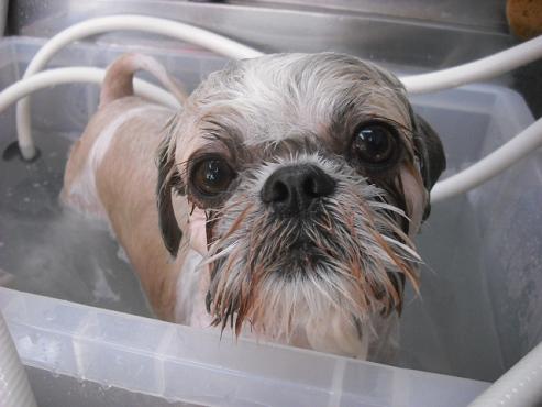 ファイル 648-2.jpg