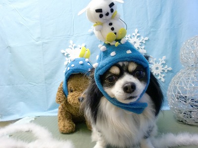 ファイル 6480-1.jpg