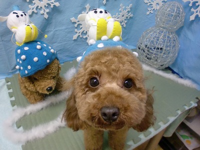 ファイル 6481-1.jpg