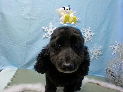 ファイル 6482-2.jpg