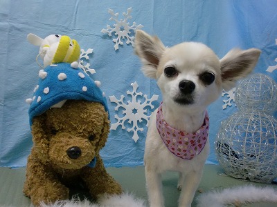 ファイル 6483-1.jpg