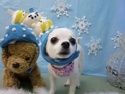 ファイル 6483-2.jpg