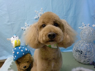 ファイル 6485-1.jpg