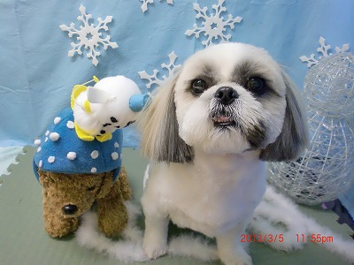 ファイル 6486-1.jpg