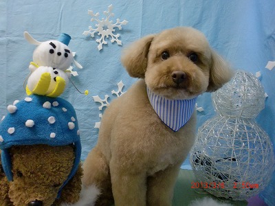 ファイル 6487-1.jpg