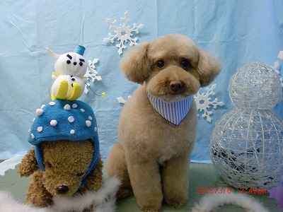 ファイル 6487-2.jpg