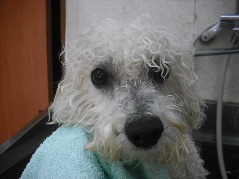 ファイル 649-2.jpg