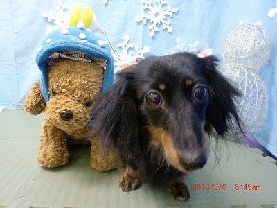 ファイル 6490-1.jpg