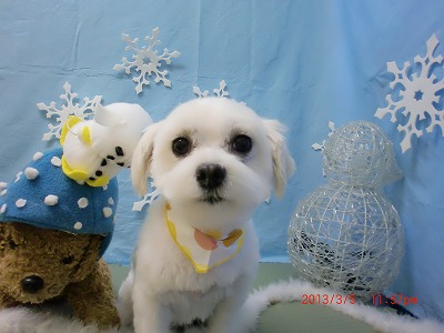 ファイル 6491-2.jpg