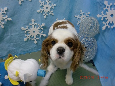 ファイル 6492-2.jpg