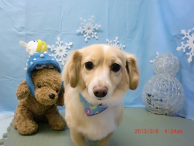 ファイル 6494-2.jpg