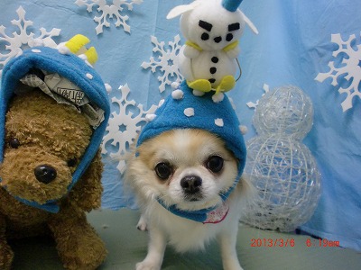 ファイル 6495-1.jpg