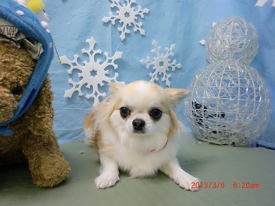 ファイル 6495-2.jpg