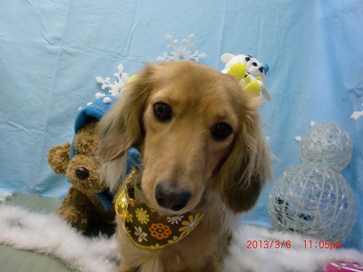 ファイル 6496-1.jpg