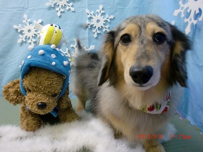 ファイル 6497-2.jpg