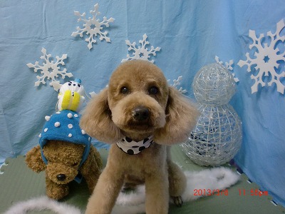 ファイル 6499-2.jpg