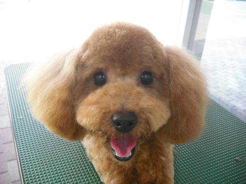 ファイル 65-1.jpg