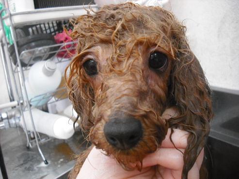 ファイル 65-2.jpg