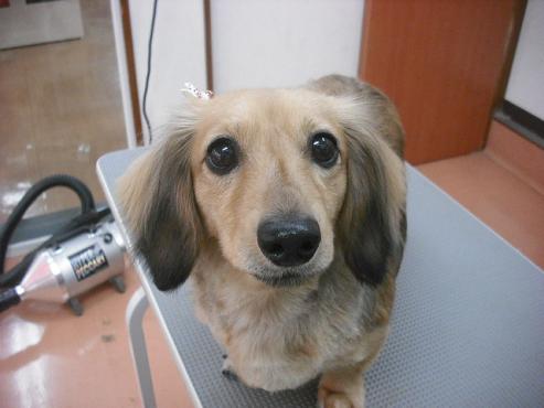 ファイル 650-1.jpg