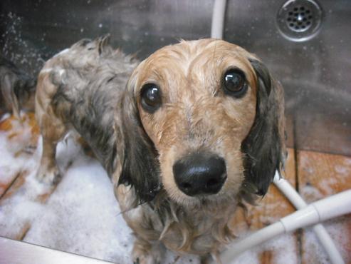 ファイル 650-2.jpg