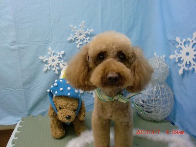 ファイル 6500-1.jpg