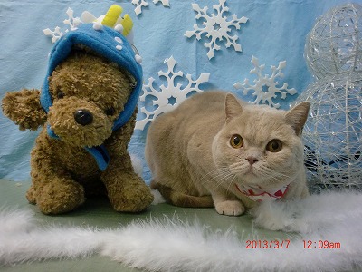 ファイル 6501-1.jpg