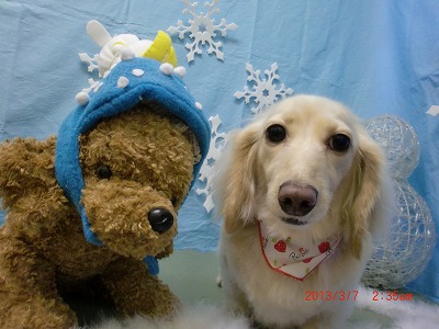 ファイル 6502-2.jpg