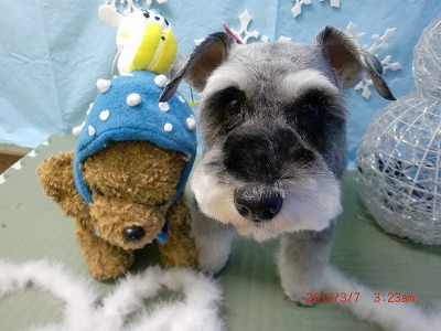 ファイル 6503-1.jpg